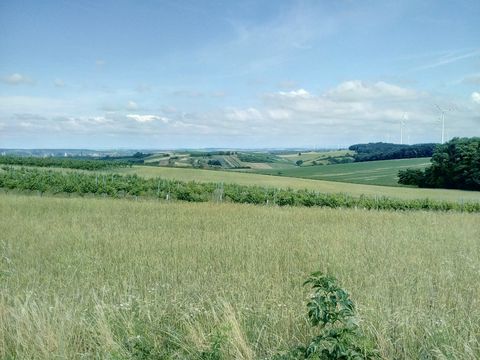 Land in Mistelbach