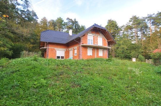 Detached house in Medvode