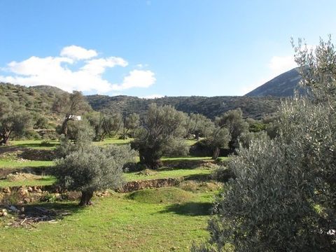 Land in Apollonia
