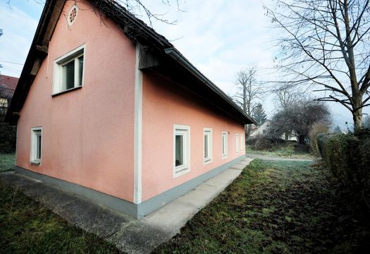 Detached house in Bežigrad