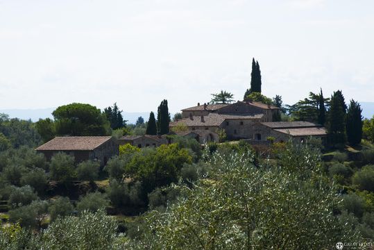 House in Siena
