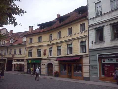 House in Ljubljana