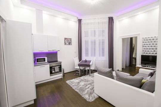 Apartment in Budapest V