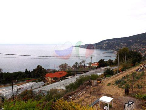 Land in San Remo