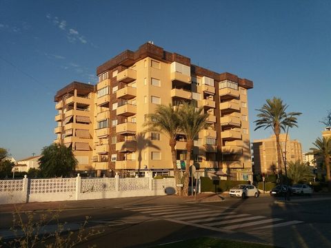 Apartment in La Zenia