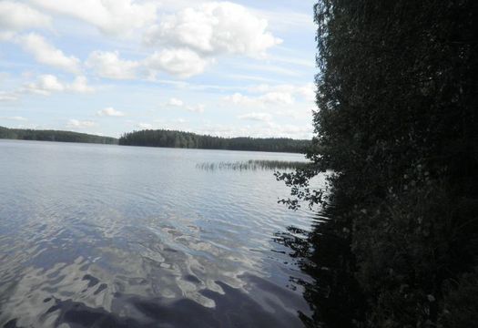 Land in Ruokolahti