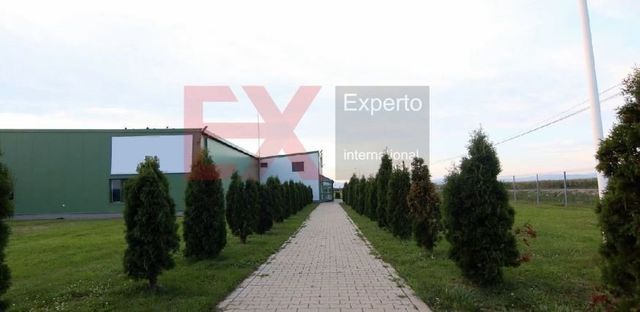 Plant / Factory in Covasna