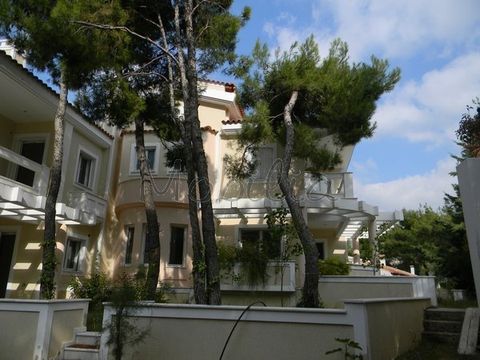 Apartment in Dionysos