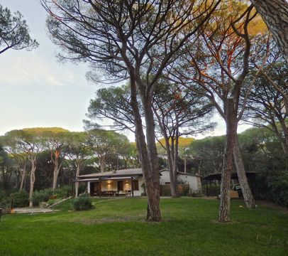 Villa in Roccamare