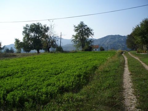 Land in Grahovo