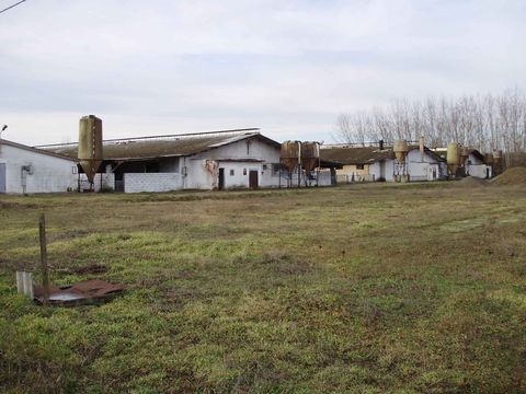 Farm in Jaszszentandras