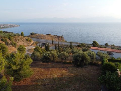 Land in Achaea