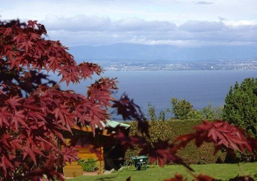 Land in Evian-les-Bains